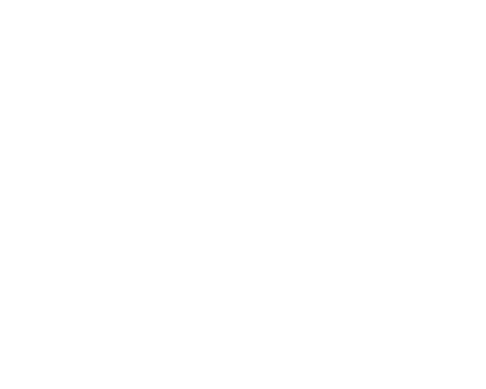The Freerider